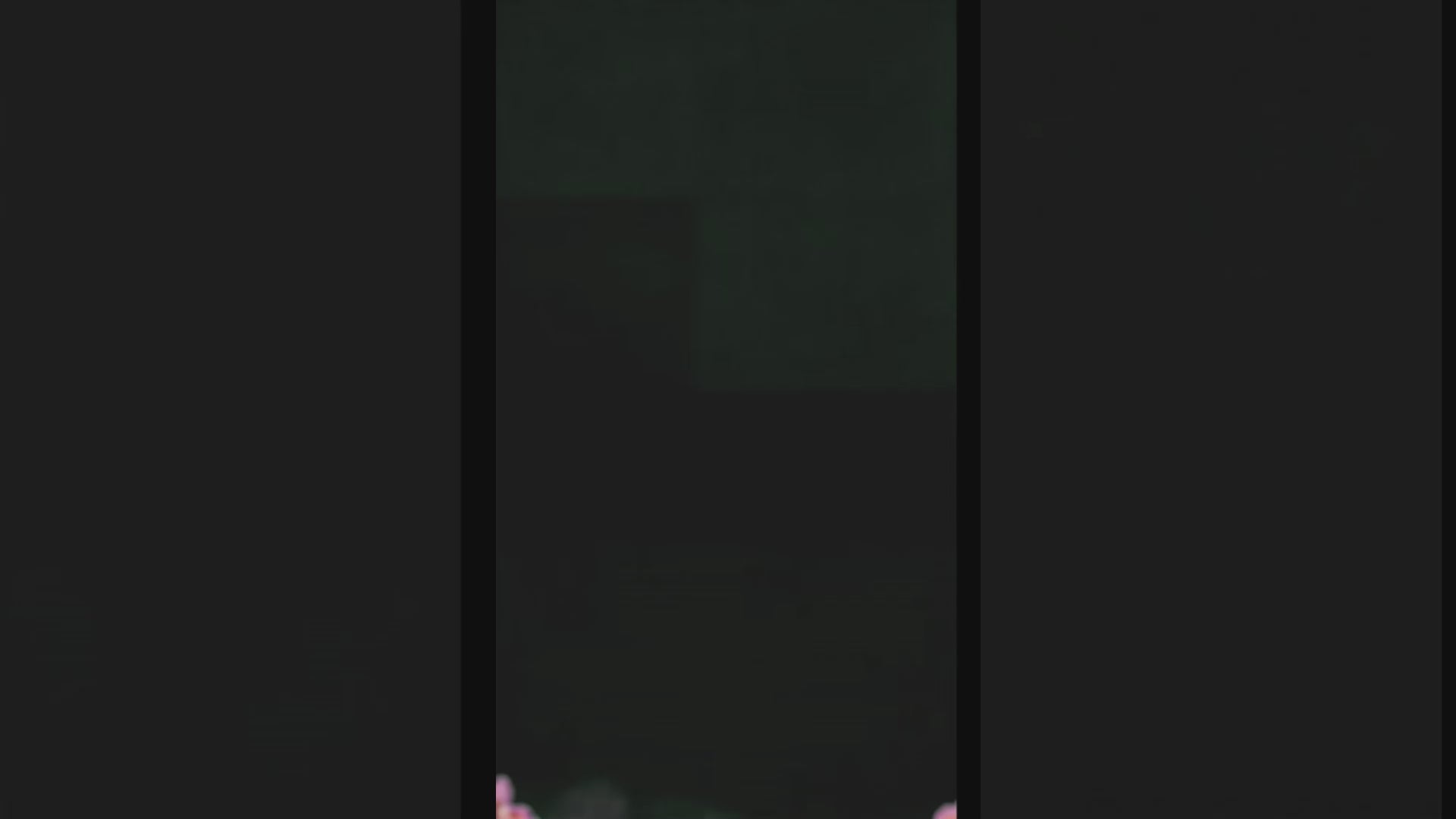 Pink Rose Animation Pack | TikTok Live Stream Effects (Digital Download)